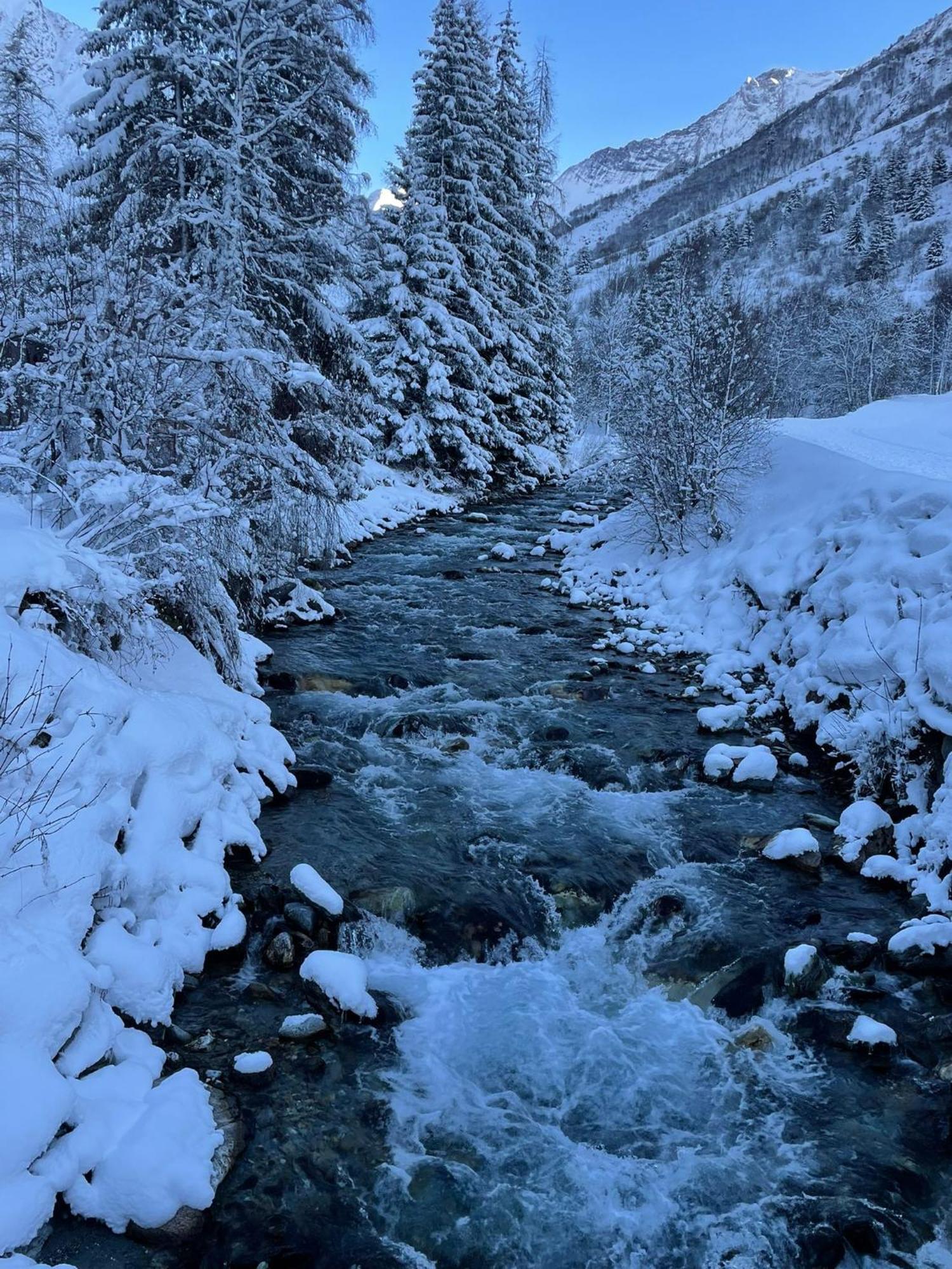 Chalet Les Avernes - Champagny En Vanoise, Domaine La Plagne Paradiski Bagian luar foto